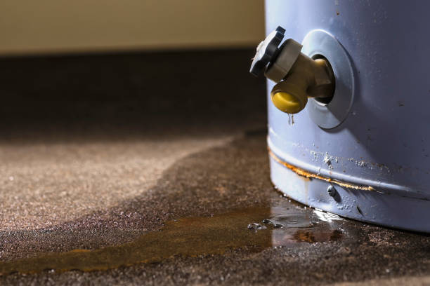 Best Ceiling water damage repair  in Ecru, MS