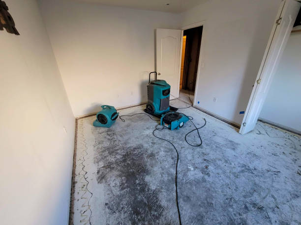 Best 24/7 water damage repair  in Ecru, MS