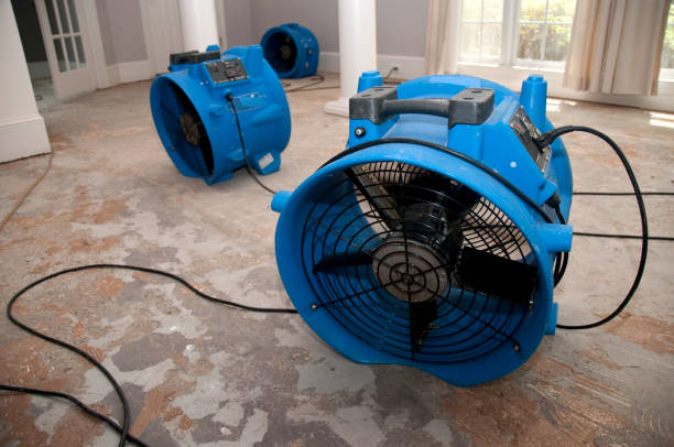 Best Water damage restoration company  in Ecru, MS
