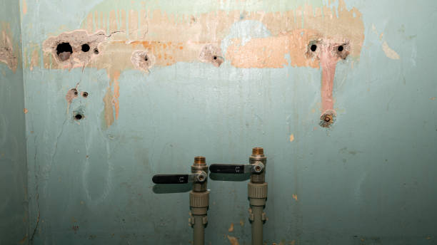 Best Basement water damage restoration  in Ecru, MS