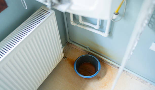 Best Water damage restoration near me  in Ecru, MS